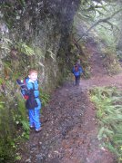 Waukeena Mult Falls 11.26.05 066 